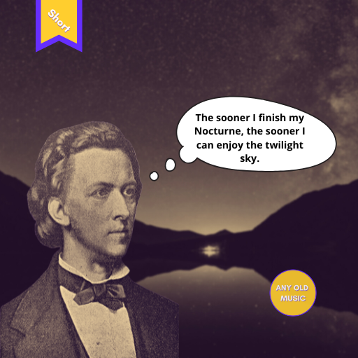 Chopin enjoying a twilight sky whilerevelling in his craftsmanship.